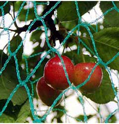 Więcej zdjęć w galerii siatek na woliery