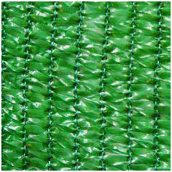 Więcej zdjęć w galerii 