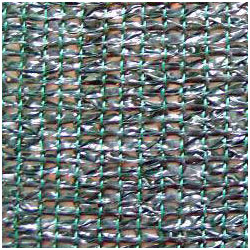 Więcej zdjęć w galerii