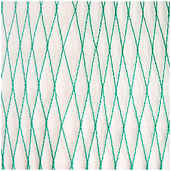 Więcej zdjęć w galerii 