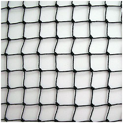 Więcej zdjęć w galeri