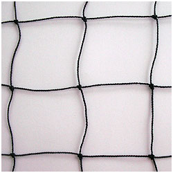 Więcej zdjęć w galerii