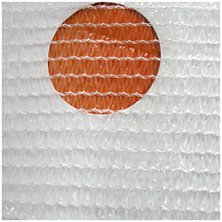 Więcej zdjęć w galerii 