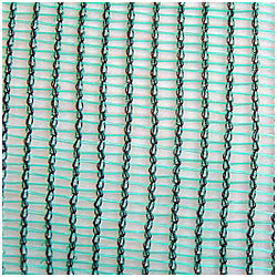 Więcej zdjęć w galerii 