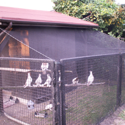 Więcej zdjęć w galerii siatek na woliery